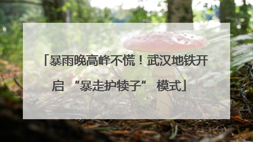暴雨晚高峰不慌！武汉地铁开启 “暴走护犊子” 模式