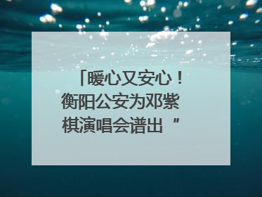 暖心又安心！衡阳公安为邓紫棋演唱会谱出“平安曲”