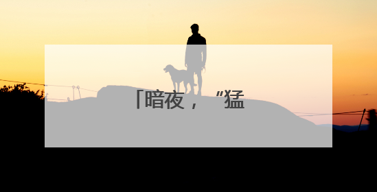 暗夜，“猛龙”出击！