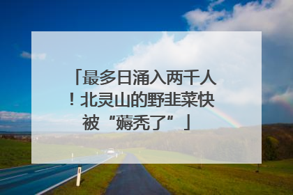 最多日涌入两千人！北灵山的野韭菜快被“薅秃了”