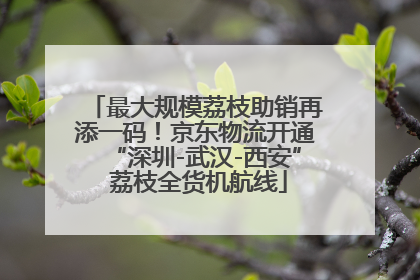 最大规模荔枝助销再添一码！京东物流开通“深圳-武汉-西安” 荔枝全货机航线