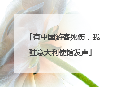 有中国游客死伤，我驻意大利使馆发声