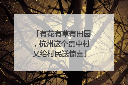 有花有草有田园，杭州这个景中村又给村民送惊喜