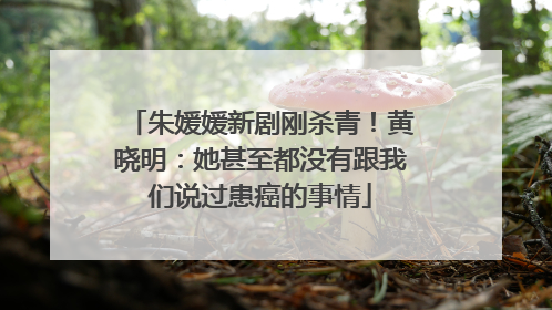 朱媛媛新剧刚杀青！黄晓明：她甚至都没有跟我们说过患癌的事情