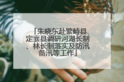 朱晓东赴繁峙县、定襄县调研河湖长制、林长制落实及防汛备汛等工作