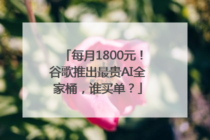 每月1800元！谷歌推出最贵AI全家桶，谁买单？