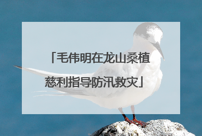 毛伟明在龙山桑植慈利指导防汛救灾