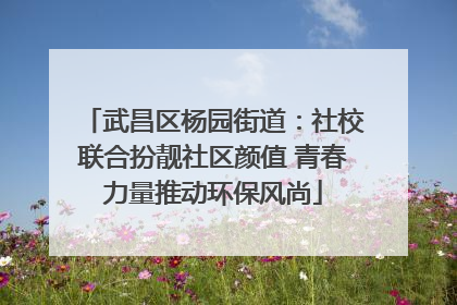 武昌区杨园街道：社校联合扮靓社区颜值 青春力量推动环保风尚