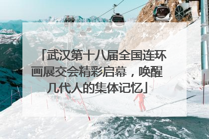 武汉第十八届全国连环画展交会精彩启幕，唤醒几代人的集体记忆