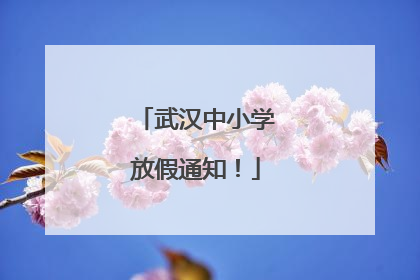 武汉中小学放假通知！