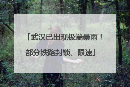 武汉已出现极端暴雨！部分铁路封锁、限速