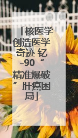 核医学创造医学奇迹 钇-90“精准爆破”肝癌困局