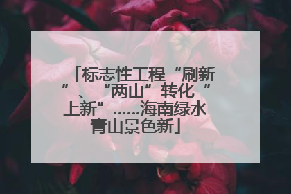 标志性工程“刷新”、“两山”转化“上新”……海南绿水青山景色新