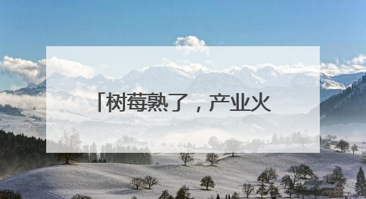 树莓熟了，产业火了！中国·封丘第十届树莓节成功举办