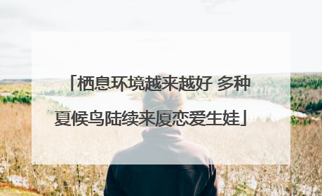 栖息环境越来越好 多种夏候鸟陆续来厦恋爱生娃