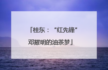 桂东：“红先锋”邓耀明的油茶梦