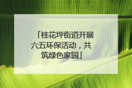 桂花坪街道开展六五环保活动，共筑绿色家园