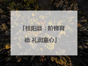 桂阳县：阶梯育德 礼润童心