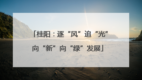 桂阳：逐“风”追“光” 向“新”向“绿”发展