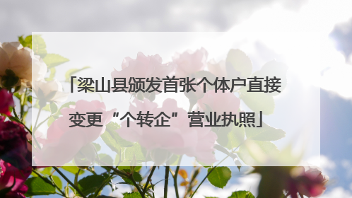 梁山县颁发首张个体户直接变更“个转企”营业执照