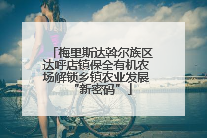 梅里斯达斡尔族区达呼店镇保全有机农场解锁乡镇农业发展“新密码”