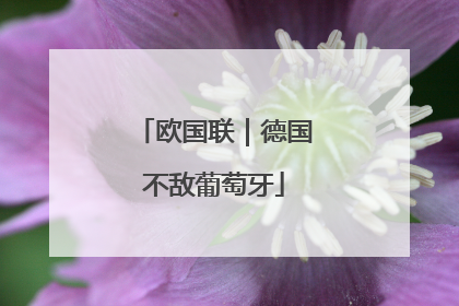 欧国联｜德国不敌葡萄牙