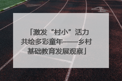 激发“村小”活力 共绘多彩童年——乡村基础教育发展观察