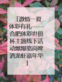 激情一夏 体彩有礼——合肥体彩世俱杯主题线下活动燃爆骆岗啤酒龙虾嘉年华