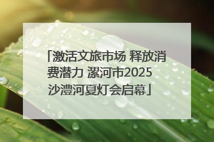 激活文旅市场 释放消费潜力 漯河市2025沙澧河夏灯会启幕