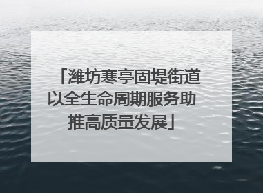 潍坊寒亭固堤街道以全生命周期服务助推高质量发展