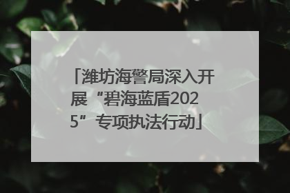 潍坊海警局深入开展“碧海蓝盾2025”专项执法行动