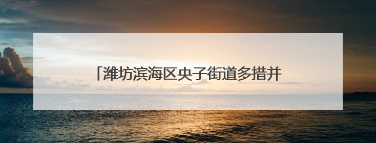 潍坊滨海区央子街道多措并举全力护航粮食丰产丰收