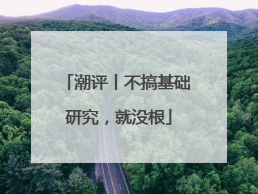 潮评丨不搞基础研究，就没根