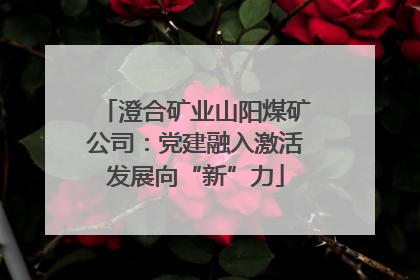 澄合矿业山阳煤矿公司：党建融入激活发展向“新”力