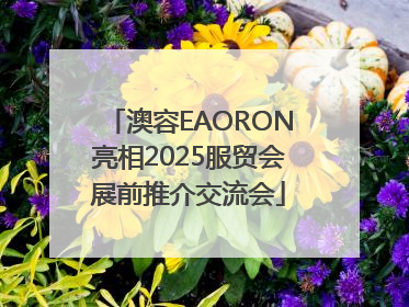 澳容EAORON亮相2025服贸会展前推介交流会