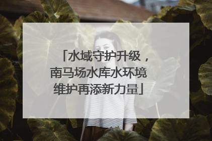 水域守护升级，南马场水库水环境维护再添新力量