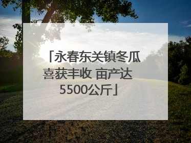 永春东关镇冬瓜喜获丰收 亩产达5500公斤