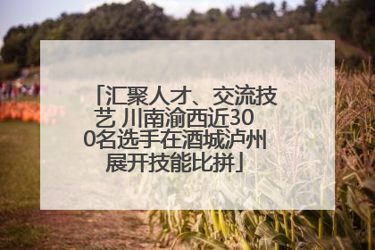 汇聚人才、交流技艺 川南渝西近300名选手在酒城泸州展开技能比拼