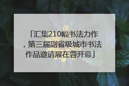 汇集210幅书法力作，第三届副省级城市书法作品邀请展在蓉开幕