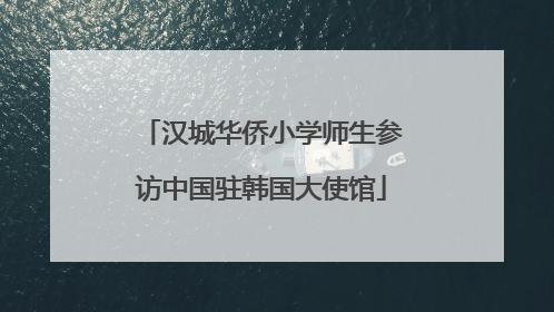 汉城华侨小学师生参访中国驻韩国大使馆
