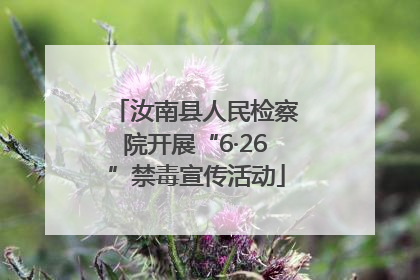 汝南县人民检察院开展“6·26”禁毒宣传活动