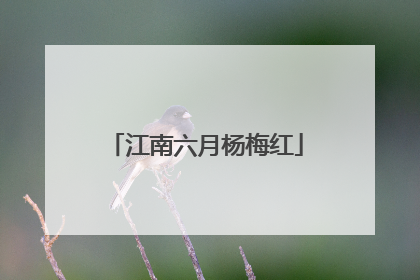 江南六月杨梅红