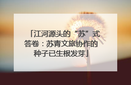 江河源头的“苏”式答卷：苏青文旅协作的种子已生根发芽