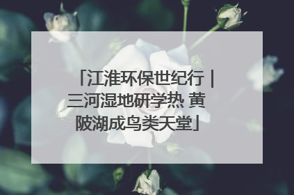 江淮环保世纪行｜三河湿地研学热 黄陂湖成鸟类天堂