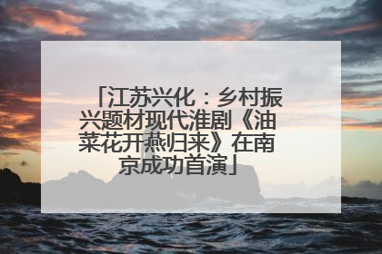 江苏兴化：乡村振兴题材现代淮剧《油菜花开燕归来》在南京成功首演
