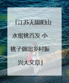 江苏无锡阳山水蜜桃首发 小桃子做出乡村振兴大文章