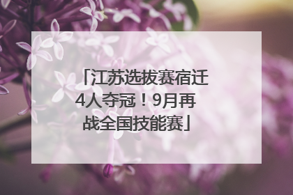 江苏选拔赛宿迁4人夺冠！9月再战全国技能赛