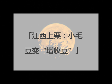 江西上栗：小毛豆变“增收豆”
