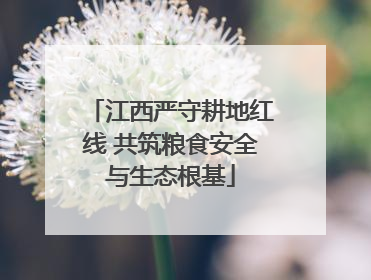 江西严守耕地红线 共筑粮食安全与生态根基