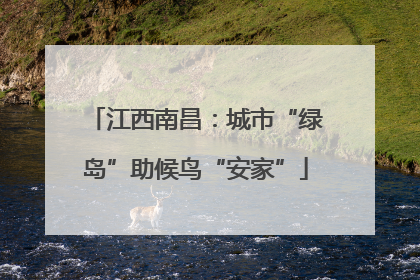 江西南昌：城市“绿岛”助候鸟“安家”